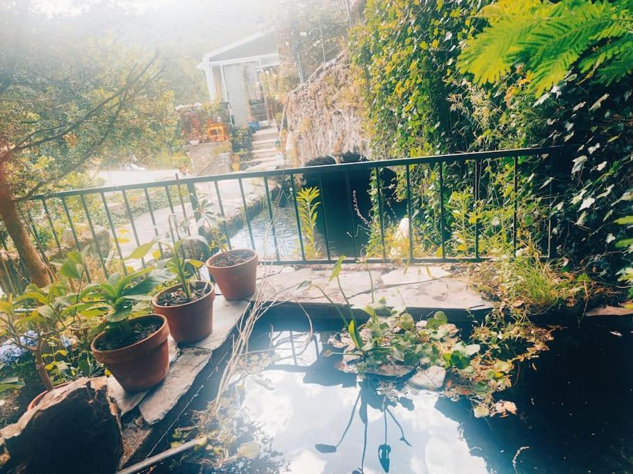 Gîte et jardin en bord de rivière Saumane Esterno foto