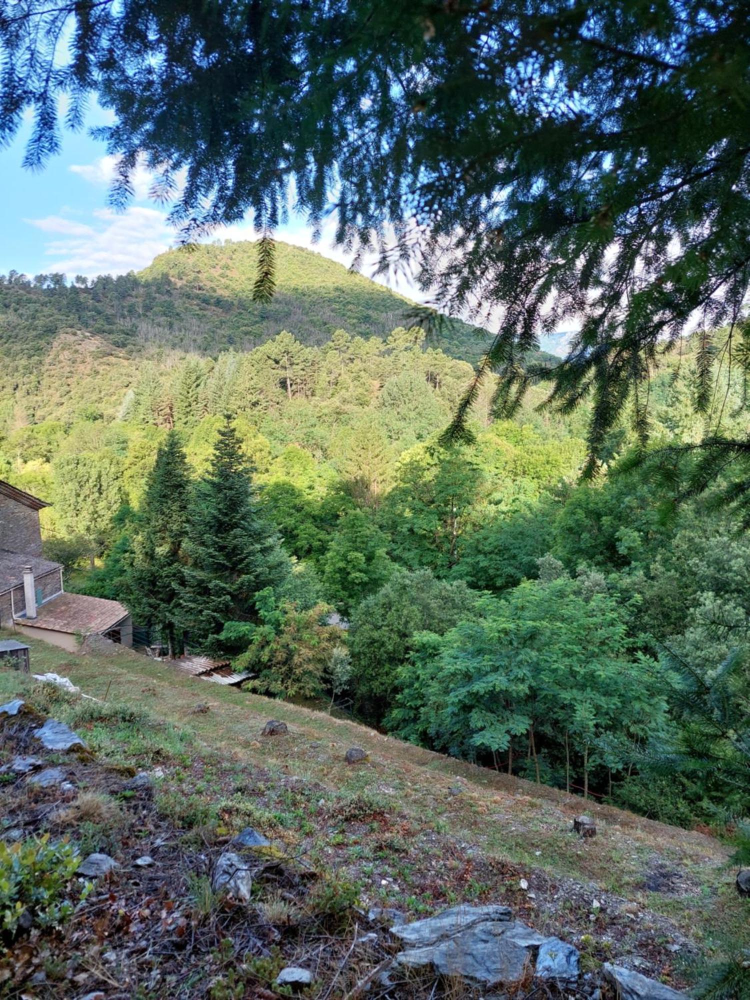 Gîte et jardin en bord de rivière Saumane Esterno foto