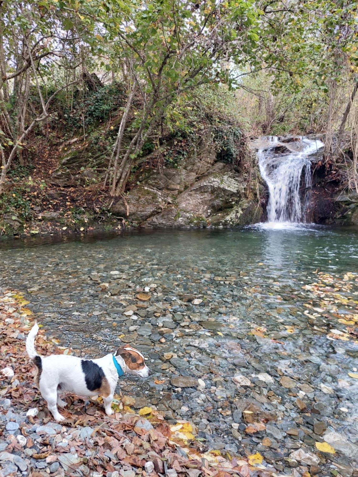 Gîte et jardin en bord de rivière Saumane Esterno foto